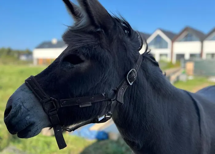 Nyaraló Moorea Mielenko